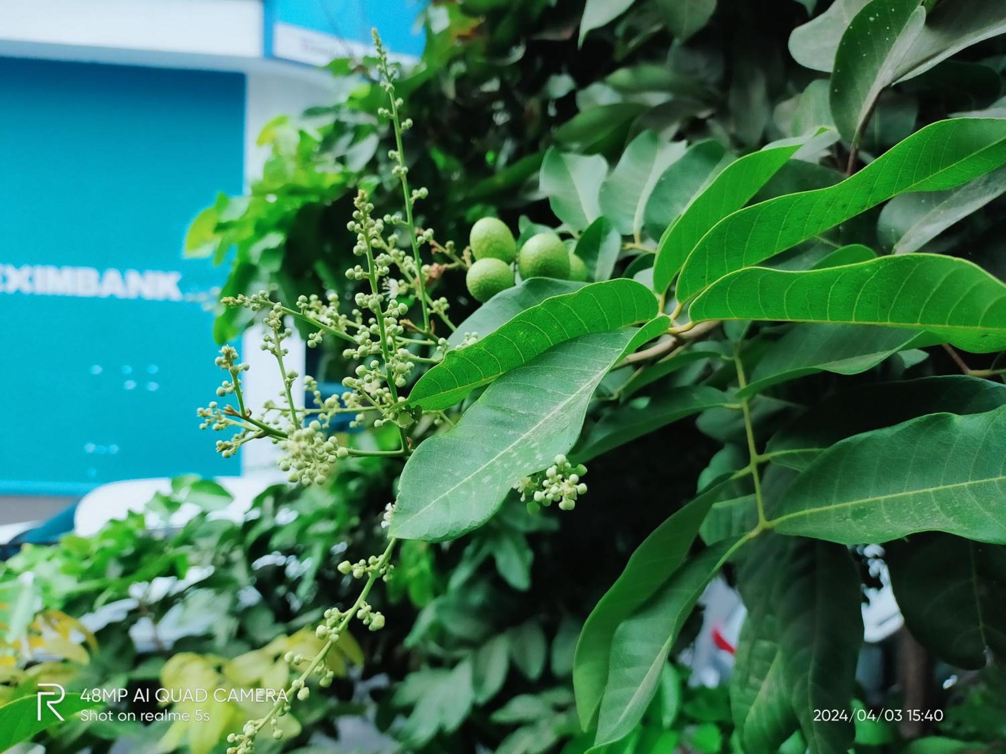 Shusimi House & Boutique Near Tan Son Nhat Airport Ciudad Ho Chi Minh  Exterior foto